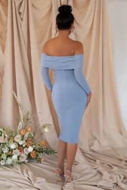 ENY Clothing Shop -ENY Clothing Shop WB CC HR CL126178 Powderblue Maternity Ruched Mesh Bardot Midi Dress3