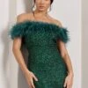 New Money | Green Bodycon Sequin Mini Dress With Feather Trim -ENY Clothing Shop WB CL129364014 NewMoneyGreenBodyconSequinMiniDressWithFeatherTrim2