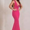 Saffina | Hot Pink Cowl Neck Low Back Maxi Dress -ENY Clothing Shop WB HR CL129337 SaffinaRedCowlNeckLowBackMaxiDress3